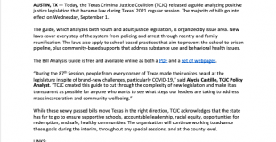 Texas Criminal Justice Coalition Releases 2021 Bill Analysis Guide