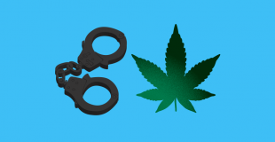 Ballot initiative to decriminalize weed, ban ‘no knock’ warrants kicks off in Austin